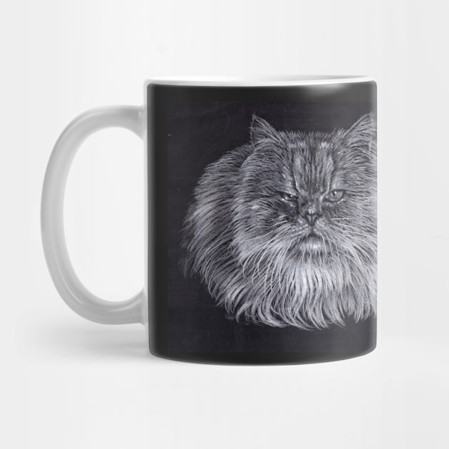 Persian Cat by VeriArt